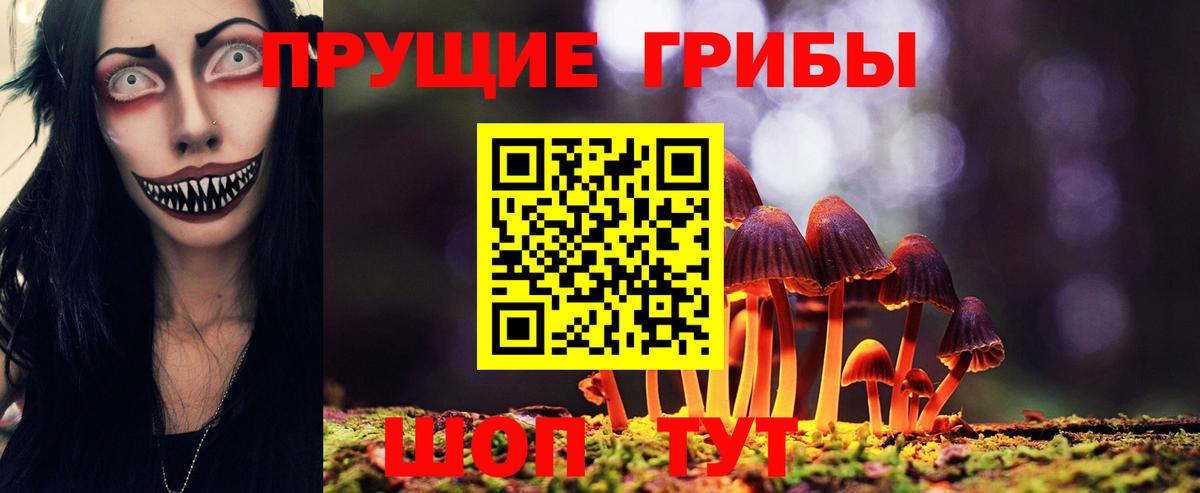 Галлюциногенные грибы GOLDEN TEACHER Оренбург